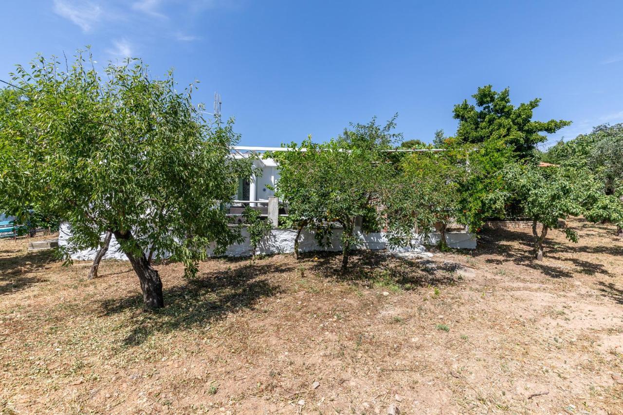 Skopelos Amigdalia cottage Exterior foto